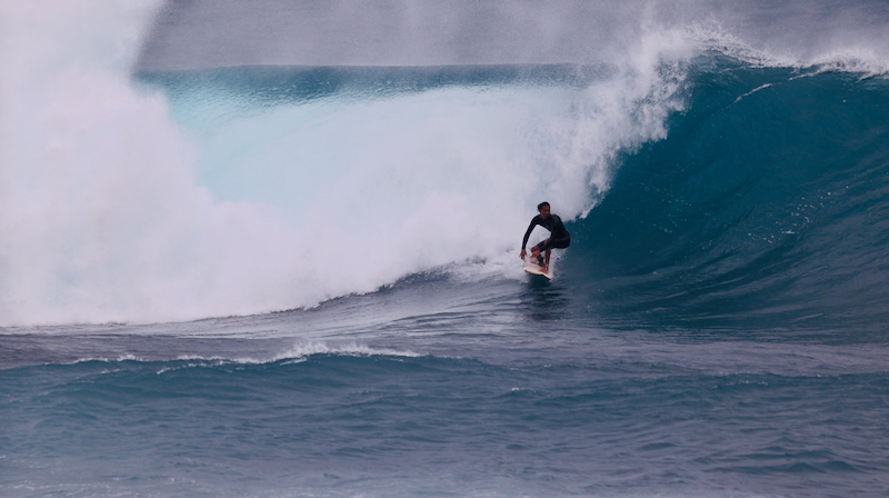 スクリーンショット 2026-02-07 17.02.16