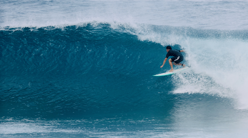 スクリーンショット 2026-02-15 14.18.40