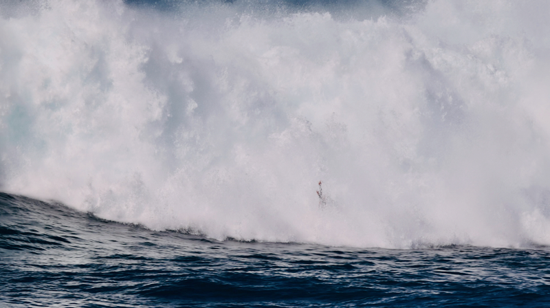 スクリーンショット 2026-02-04 4.39.57