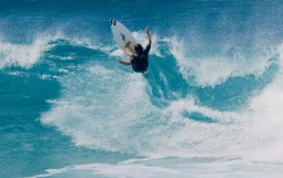 スクリーンショット 2026-02-15 14.40.38 (1)