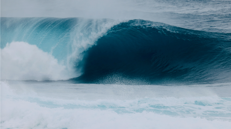 スクリーンショット 2026-02-07 15.11.56