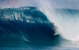 スクリーンショット 2026-02-14 2.16.30