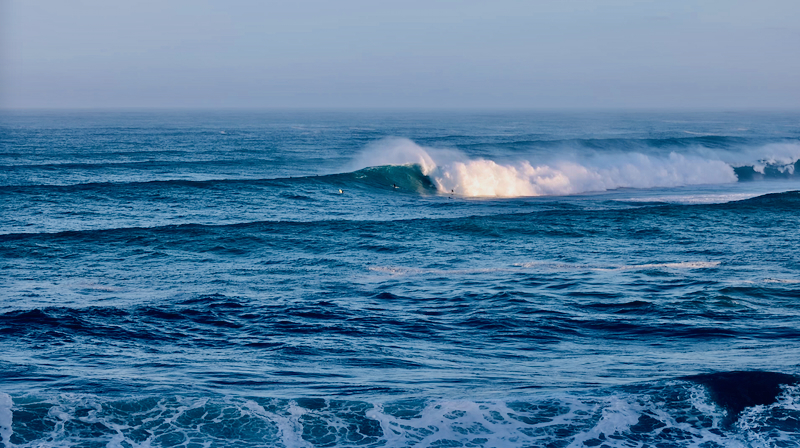 スクリーンショット 2026-02-04 14.14.15