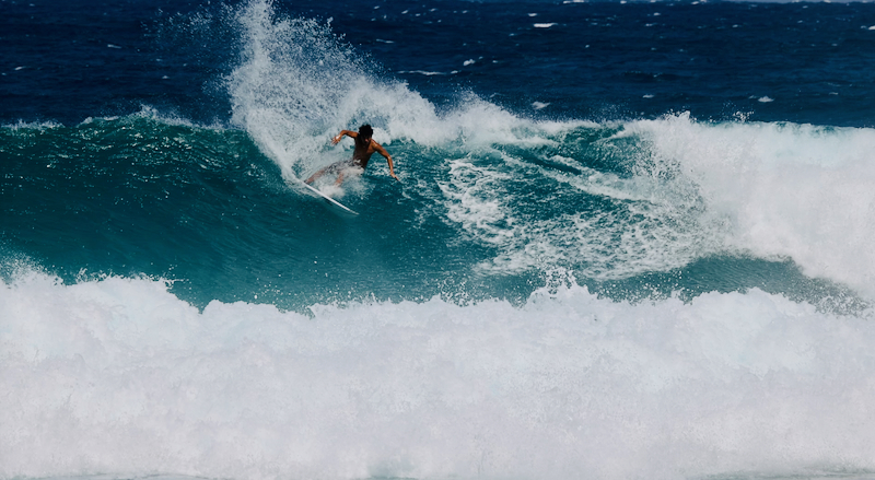 スクリーンショット 2026-02-17 7.14.59