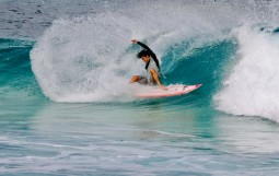 スクリーンショット 2026-02-12 12.56.30