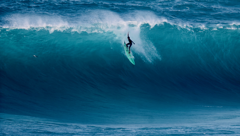 スクリーンショット 2026-02-04 5.03.11