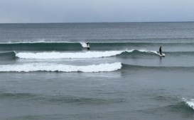 fdd3835a83b987fc82bb38f60609bec8