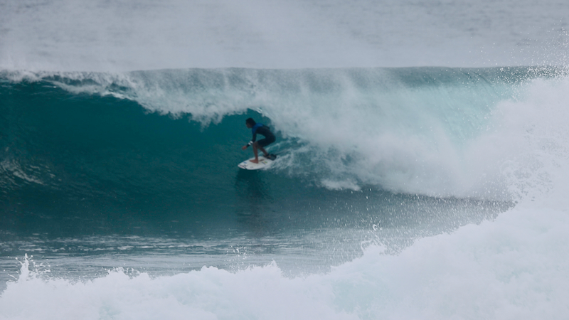 スクリーンショット 2026-03-03 14.17.53