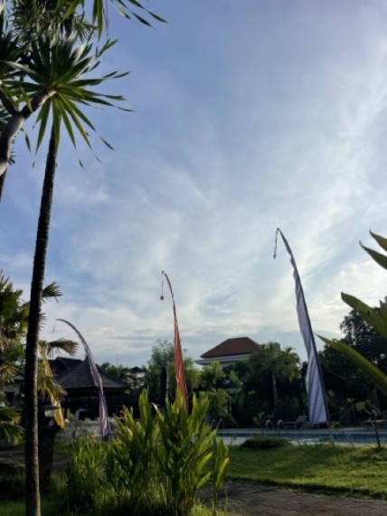 ファイル 2（中）