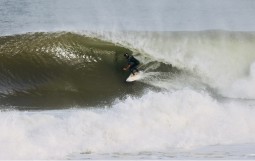 スクリーンショット 2026-03-17 0.50.18