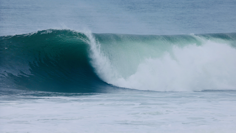 スクリーンショット 2026-03-17 17.17.44