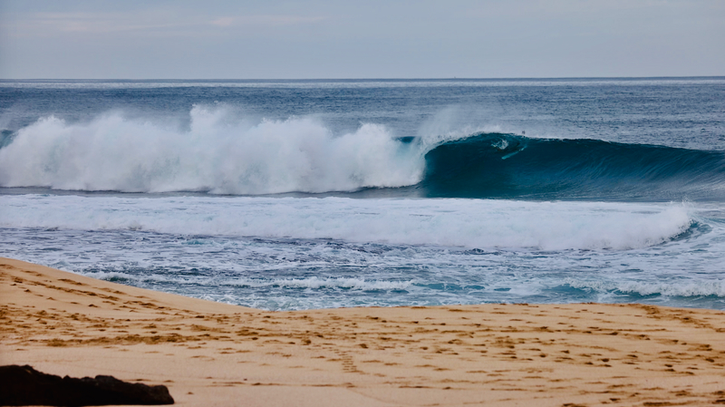 スクリーンショット 2026-03-01 13.43.25
