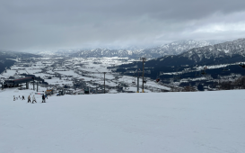 スクリーンショット 2026-03-30 8.51.04