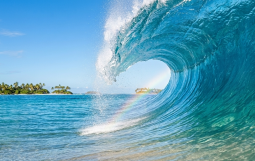 Gemini_Generated_Image_r83jbr83jbr83jbr