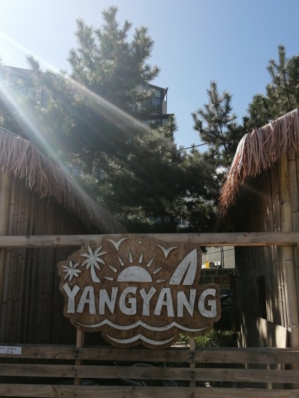 YANGYANG（ヤンヤン）は、韓国サーフィンのメッカ！