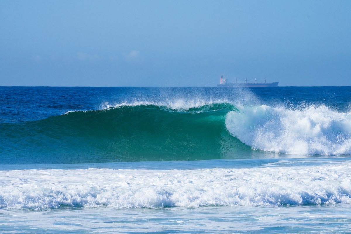 Bioglan Newcastle SURFEST