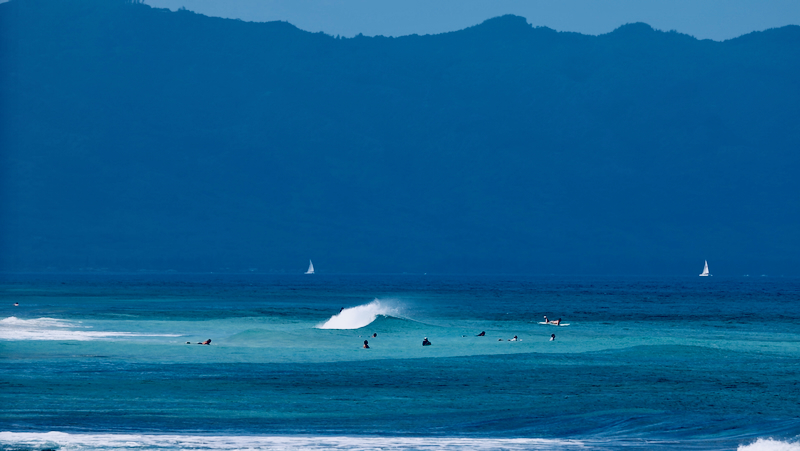 スクリーンショット 2026-03-09 17.38.46