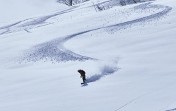 ☆加藤　このトラックとスプレーも良し