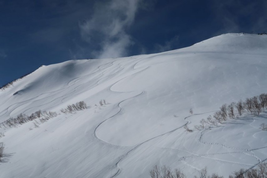 大きなラインを思う存分デザインできるのがBCの魅力