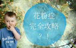 花粉症完全攻略法 (1)