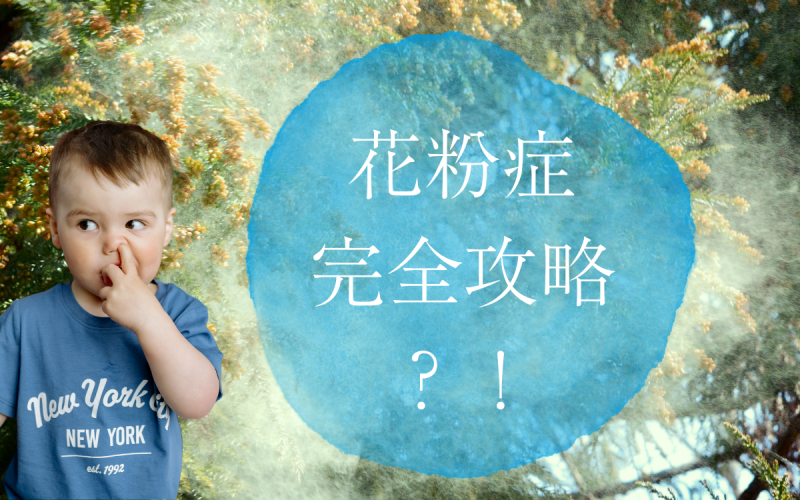 花粉症完全攻略法 (1)