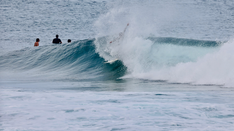 スクリーンショット 2026-03-01 14.17.33
