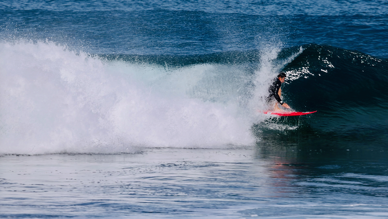 スクリーンショット 2026-03-09 17.19.00