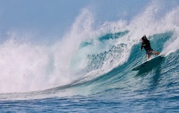 スクリーンショット 2026-04-30 12.16.34