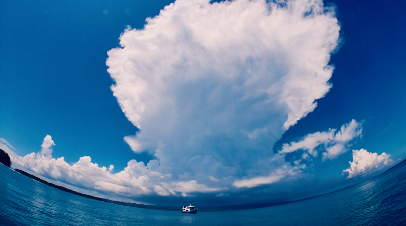 スクリーンショット 2026-04-24 3.19.03