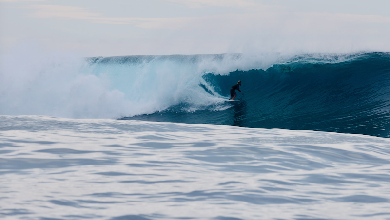 スクリーンショット 2026-04-23 4.29.07