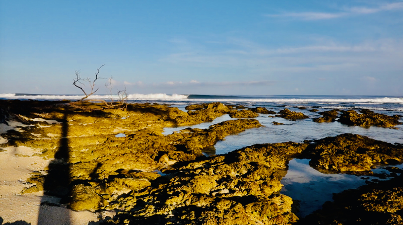 スクリーンショット 2026-04-28 4.02.02