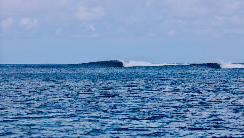 スクリーンショット 2026-04-22 5.37.51