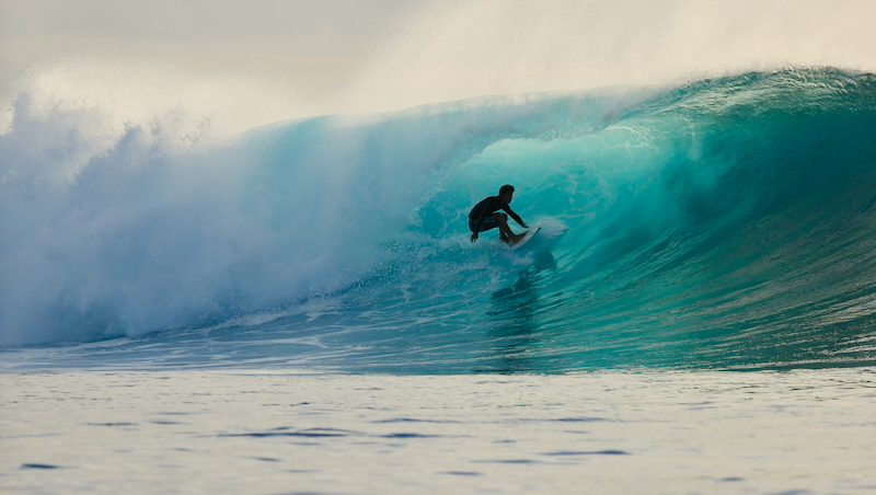 スクリーンショット 2026-04-23 5.00.37