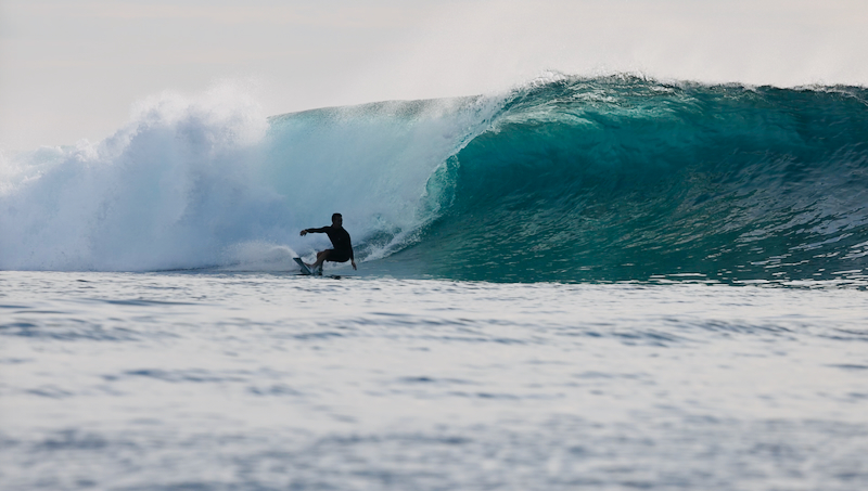 スクリーンショット 2026-04-23 4.46.59