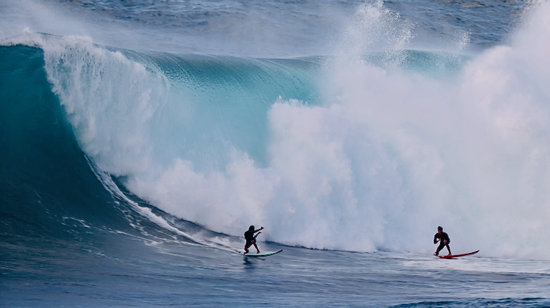 スクリーンショット 2026-02-04 5.13.38