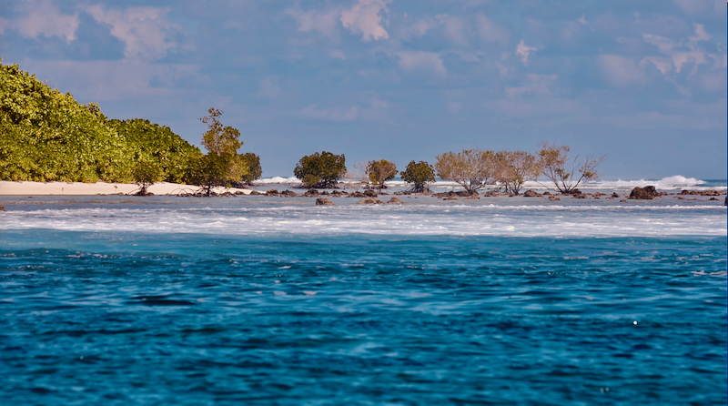 スクリーンショット 2026-04-25 13.47.10