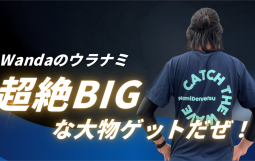 Wandaのウラナミ (1)