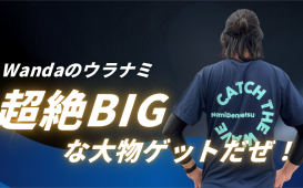 Wandaのウラナミ (1)