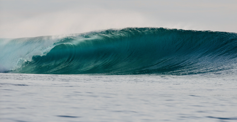 スクリーンショット 2026-04-23 4.45.47