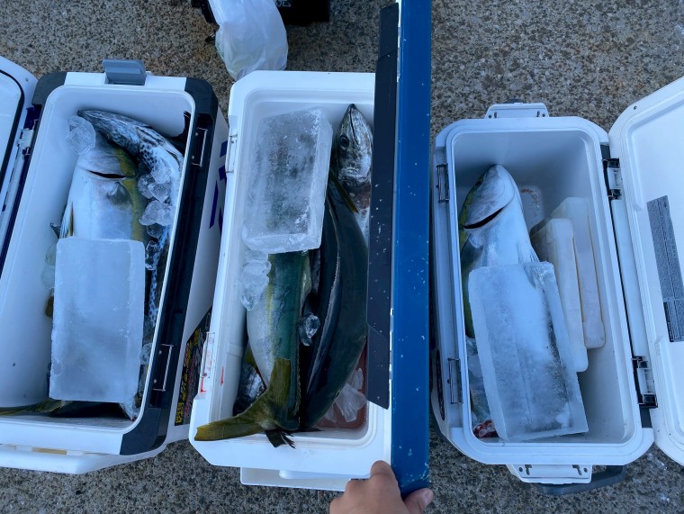 LINE_ALBUM_2026年3月16日(月)サニーサイド浦賀_260402_3