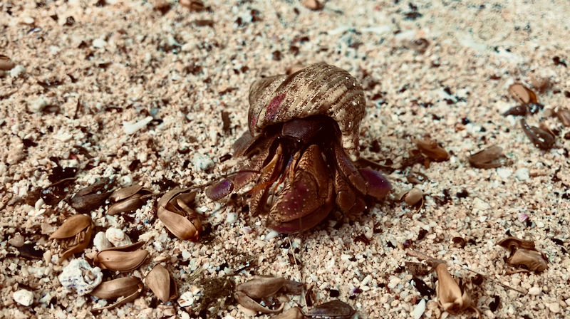 スクリーンショット 2026-04-22 5.40.20