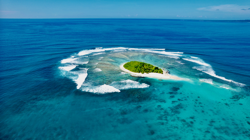 スクリーンショット 2026-04-25 4.56.27