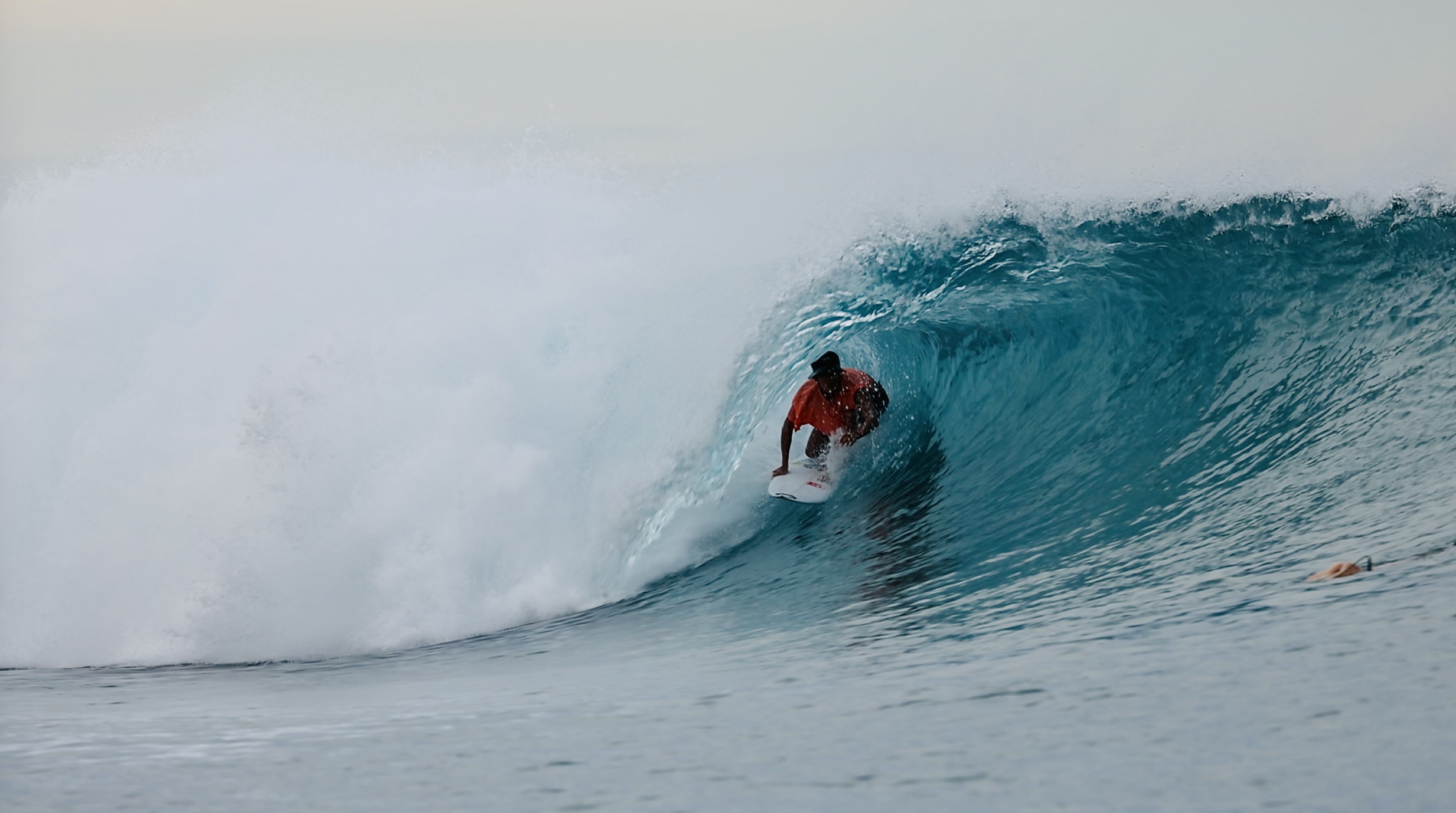 スクリーンショット 2026-04-30 11.48.01