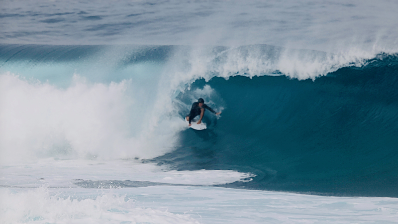 スクリーンショット 2026-01-30 17.46.12