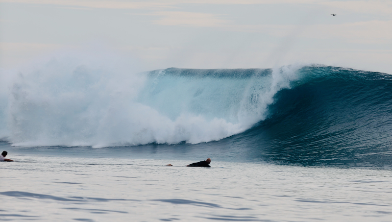 スクリーンショット 2026-04-23 4.27.52