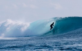 スクリーンショット 2026-04-30 5.48.07