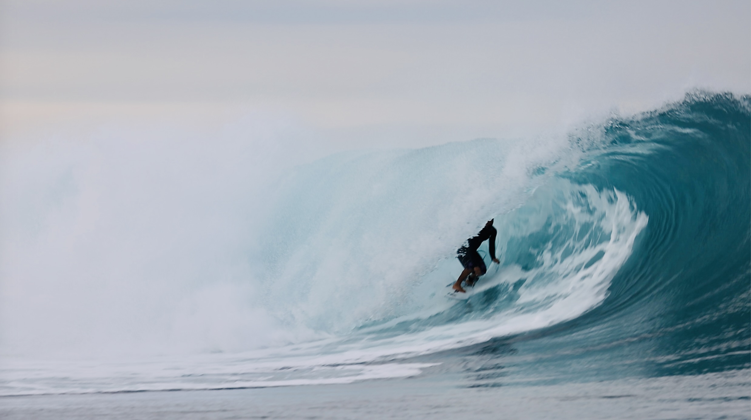 スクリーンショット 2026-04-30 11.43.46