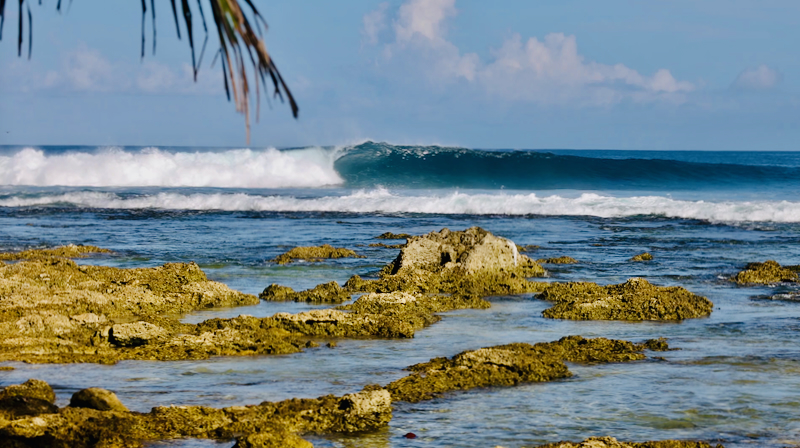 スクリーンショット 2026-04-30 4.28.18