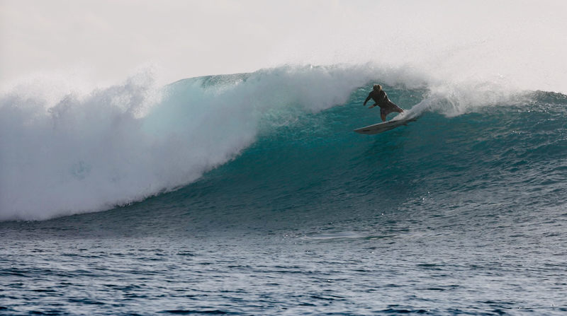 スクリーンショット 2026-04-30 5.58.13