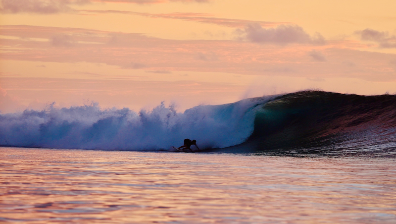スクリーンショット 2026-04-23 15.42.58